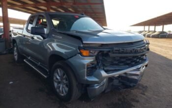 CHEVROLET SILVERADO 1500 2025 Autto Auction