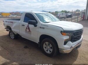 SOLD – CHEVROLET SILVERADO 1500 2022 Auto Auction