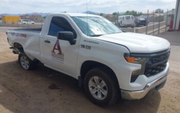 CHEVROLET SILVERADO 1500 2022 Auto Auction