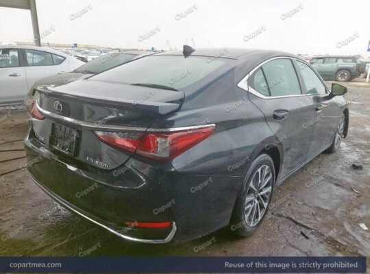 LEXUS ES 300H 2024- Auto auction – SOLD