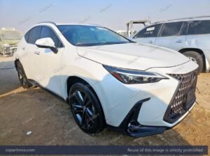 LEXUS NX 350 – 2025 – Auto auction – SOLD,,,,,,