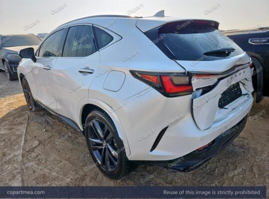 LEXUS NX 350 – 2025 – Auto auction – SOLD,,,,,,