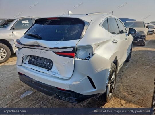 LEXUS NX 350 – 2025 – Auto auction – SOLD,,,,,,