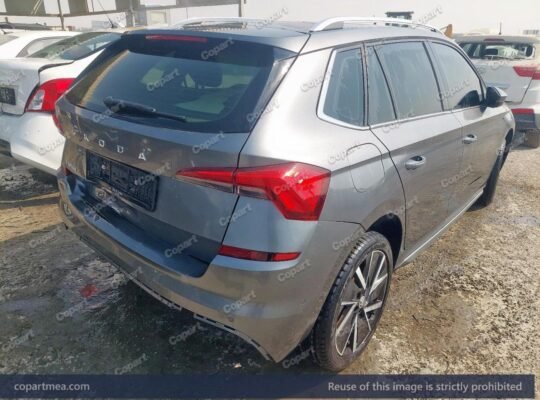 SKODA KAMIQ 2025 – Auto auction – SOLD