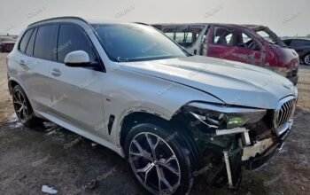 BMW X5 – 2021 – Auto auction – SOLD