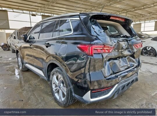 FORD TERRITORY 2024 – Auto auction – SOLD