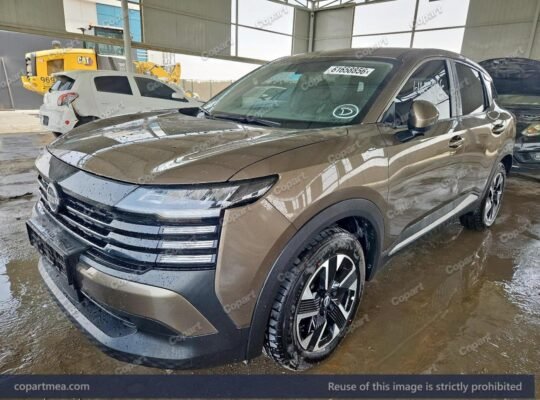 NISSAN KICKS 2025 – Auto auction – SOLD