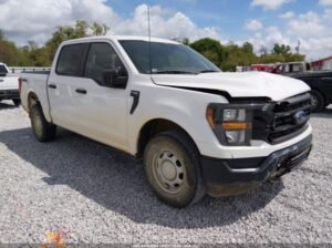 FORD F-150 XL 2023 Auto Auction
