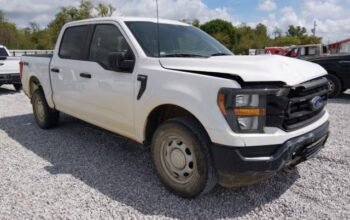 SOLD – FORD F-150 XL 2023 Auto Auction