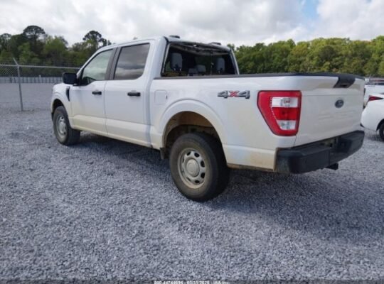 SOLD – FORD F-150 XL 2023 Auto Auction