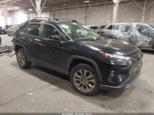 TOYOTA RAV4 LIMITED 2023 Auto auction
