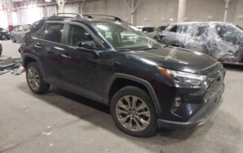 TOYOTA RAV4 LIMITED 2023 Auto auction