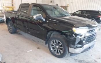 CHEVROLET SILVERADO 2023 Auto Auction