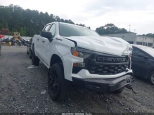 chevrolet silvirado 2024 Auto auction