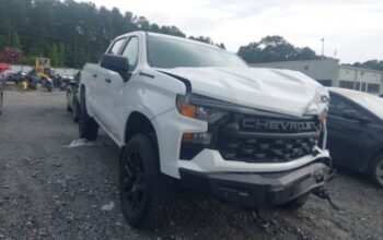 chevrolet silvirado 2024 Auto auction