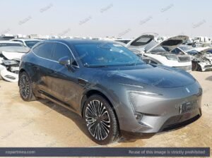 AVATAR 11 – 2023 – Auto auction
