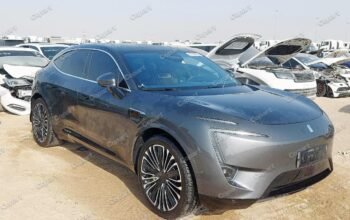 AVATAR 11 – 2023 – Auto auction