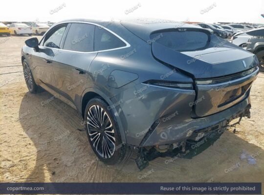 SOLD… AVATAR 11 – 2023 – Auto auction