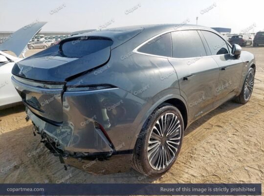 SOLD… AVATAR 11 – 2023 – Auto auction