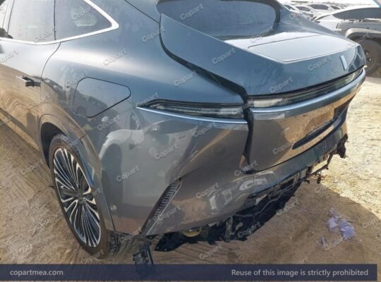SOLD… AVATAR 11 – 2023 – Auto auction