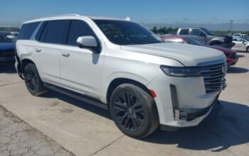 CADILLAC ESCALADE 4WD PREMIUM 2023 Auto auction