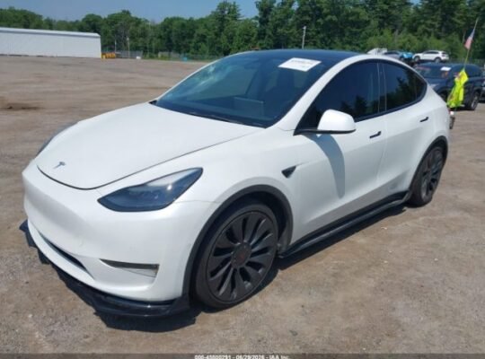 TESLA MODEL Y PERFORMANCE DUAL 2022 Auto auction