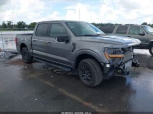 FORD F-150 XLT 2024 Auto Auction