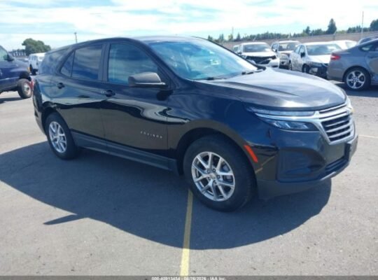 CHEVROLET EQUINOX AWD LS 2022 Auto auction