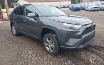 TOYOTA RAV4 XLE 2024 auto auctions
