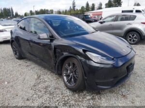 TESLA MODEL Y LONG RANGE 2025 Auto Auction