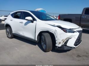 LEXUS NX 350 LUXURY 2026