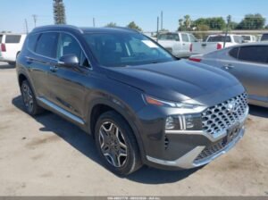 HYUNDAI SANTA FE HYBRID LIMITED 2023 Auto Auction