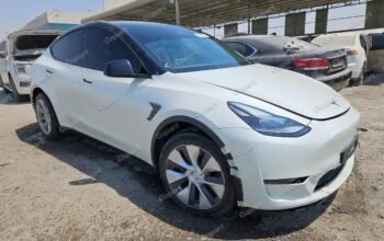 TESL MODEL Y – 2024